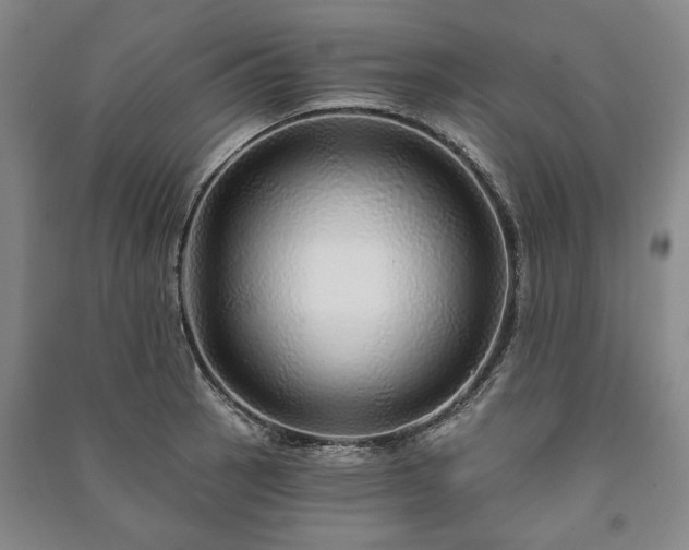X0000091211137200708161537