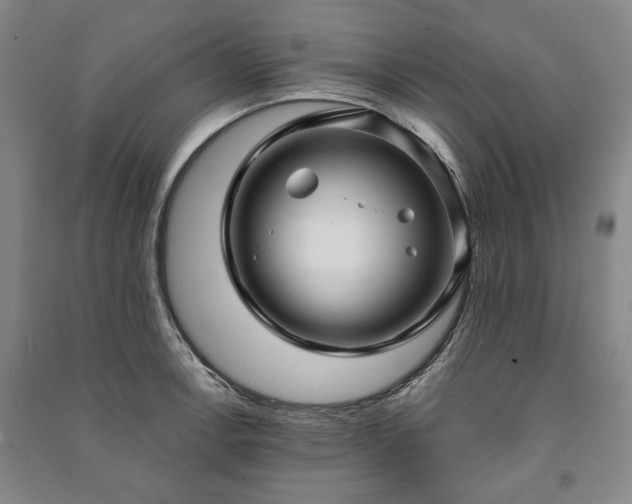 X0000091211138200708161537