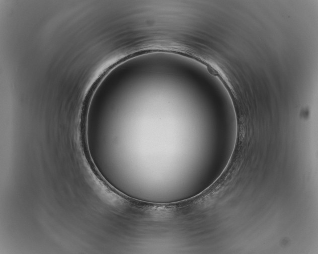 X0000091211139200708161537