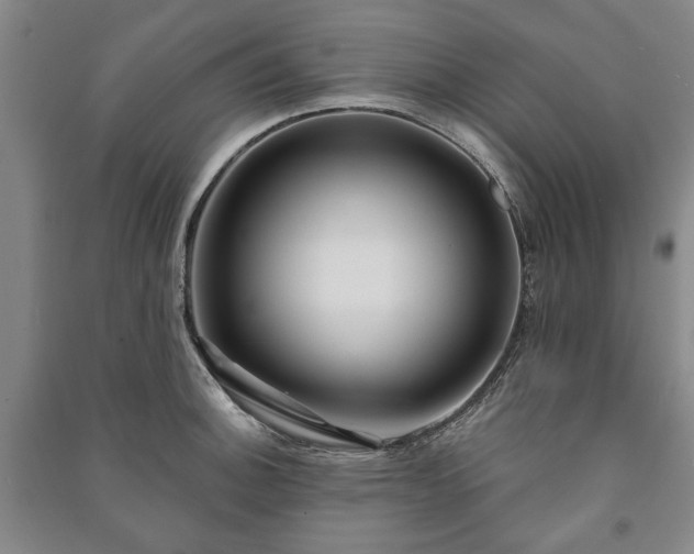 X0000091211140200708161537