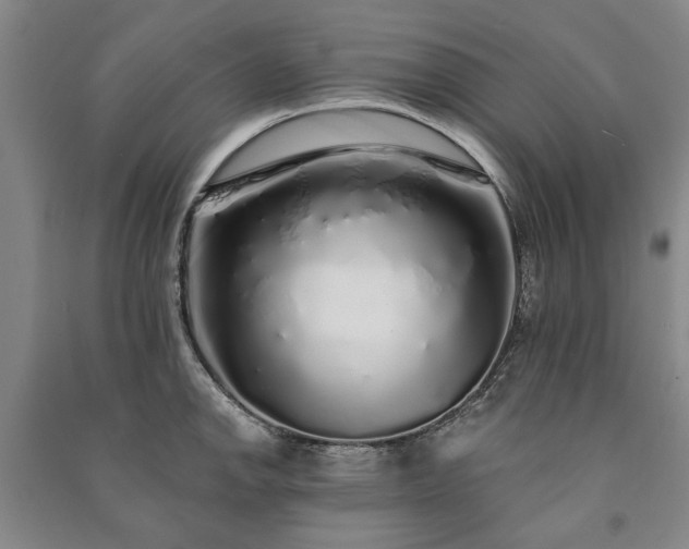 X0000091211142200708161537