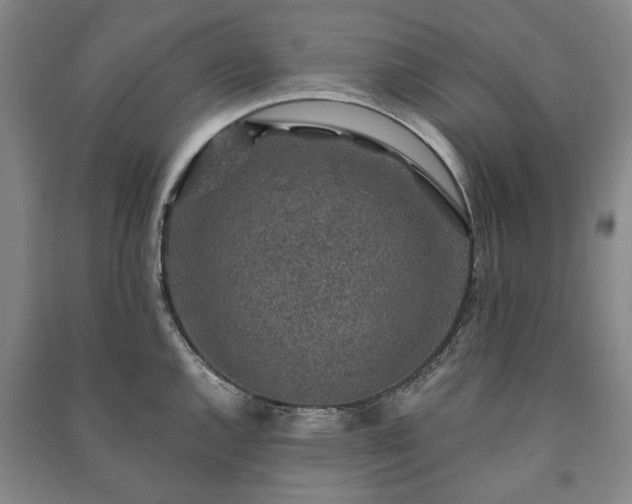 X0000091211144200708161537