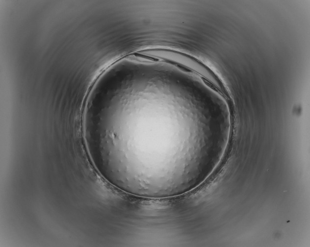 X0000091211145200708161537