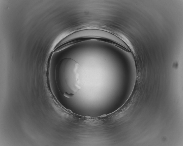 X0000091211146200708161537