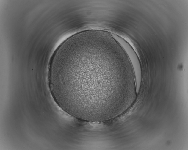 X0000091211147200708161537
