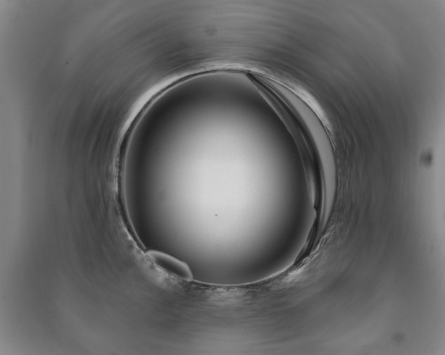 X0000091211148200708161537