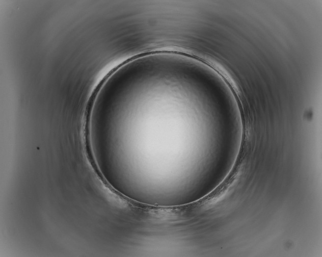 X0000091211149200708161537