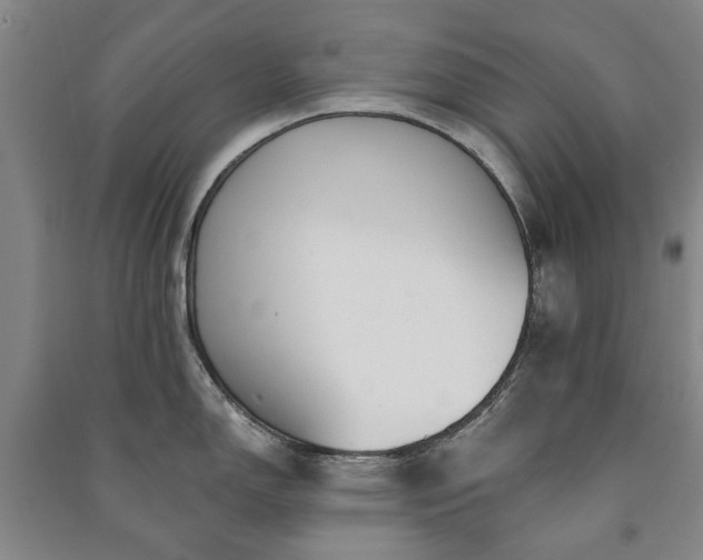 X0000091211150200708161537