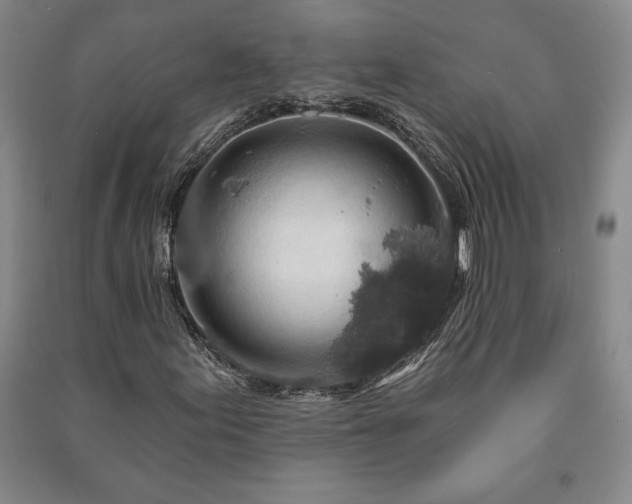 X0000091211155200708161537