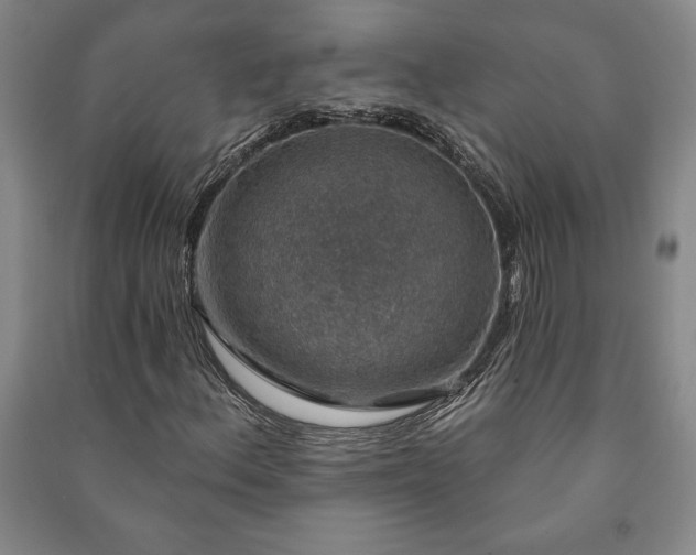 X0000091211156200708161537