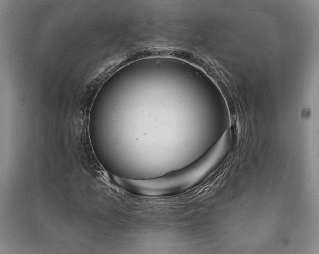 X0000091211157200708161536