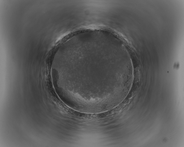 X0000091211158200708161536