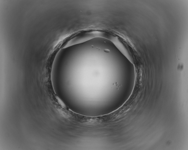 X0000091211160200708161536