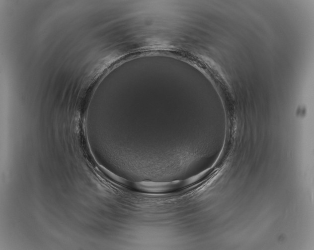 X0000091211161200708161536