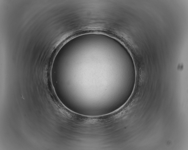 X0000091211162200708161536