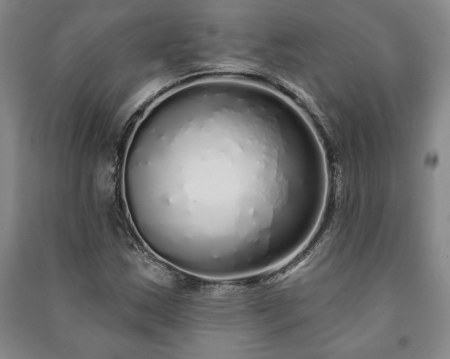 X0000091211163200708161536
