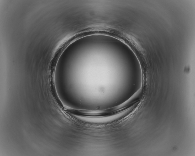 X0000091211164200708161536