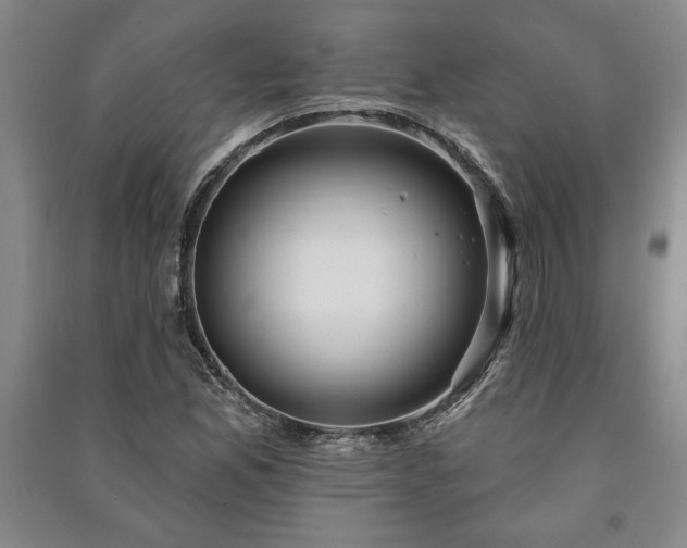X0000091211165200708161536