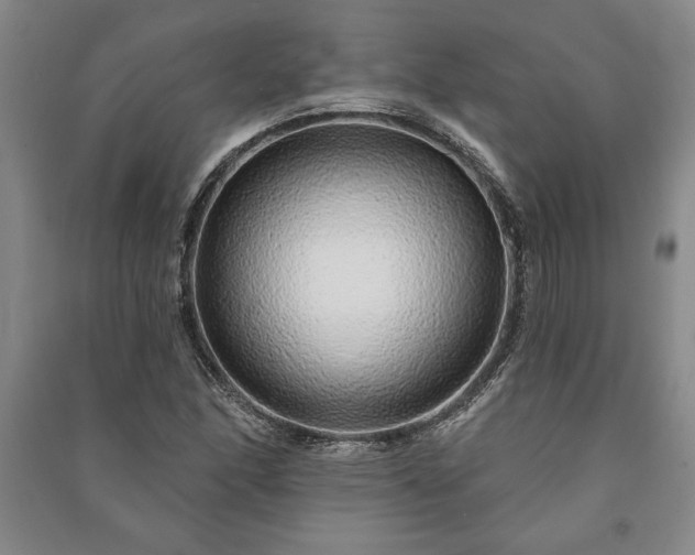 X0000091211166200708161536