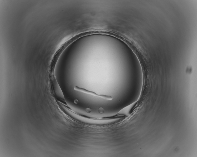 X0000091211168200708161536