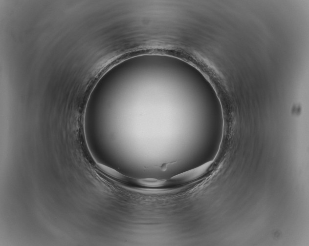X0000091211169200708161536