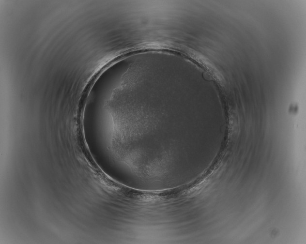 X0000091211170200708161536
