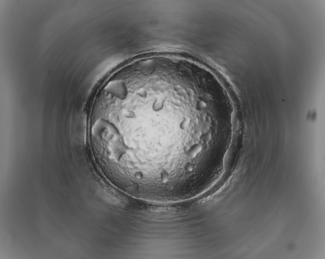 X0000091211171200708161536