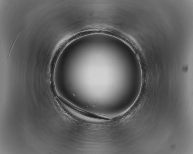 X0000091211172200708161536