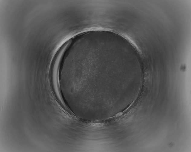 X0000091211173200708161536