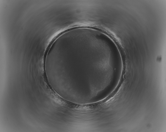 X0000091211174200708161536