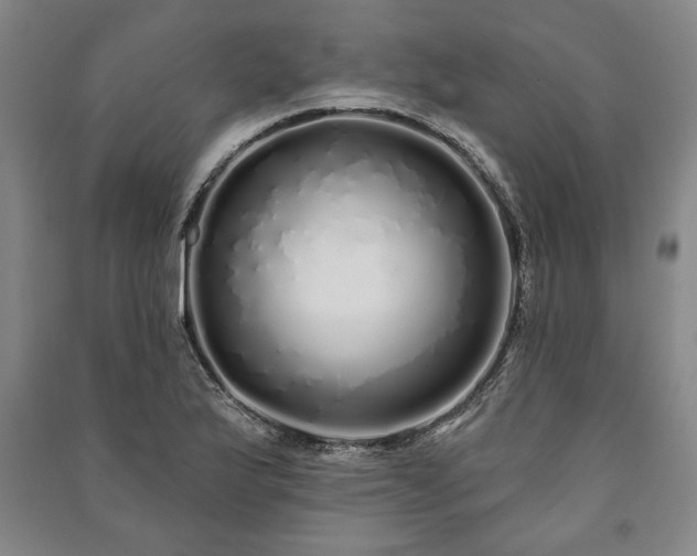 X0000091211175200708161536