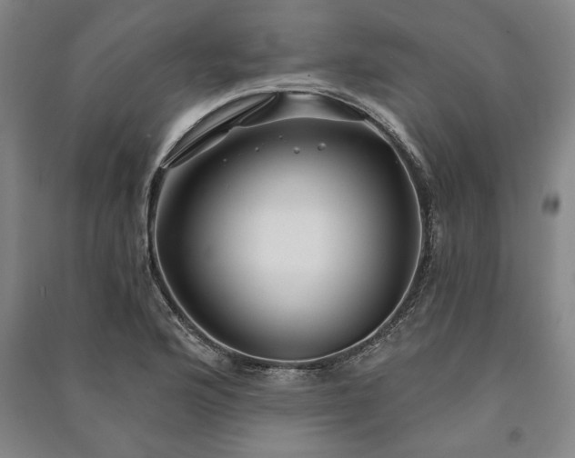 X0000091211176200708161536