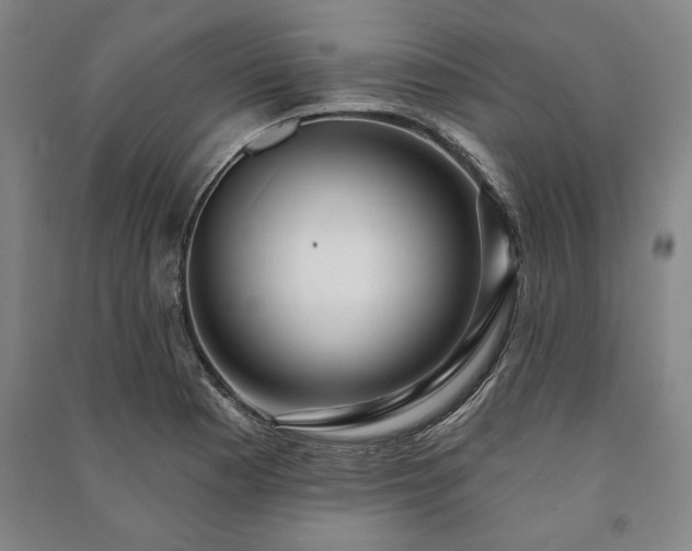X0000091211177200708161536