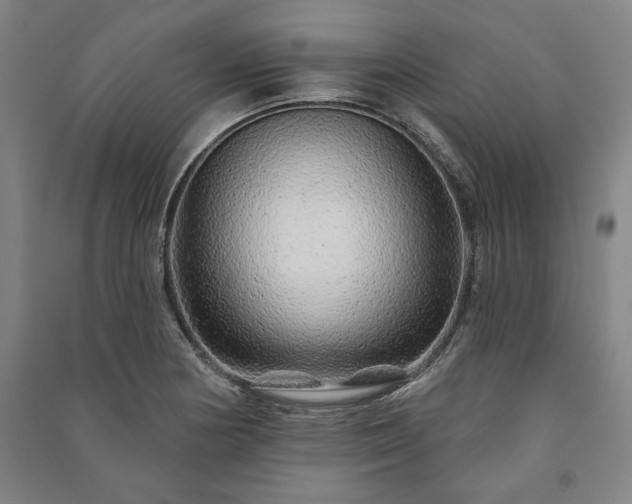 X0000091211178200708161536