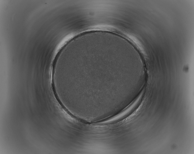 X0000091211180200708161536
