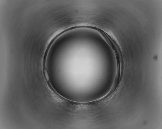 X0000091211181200708161536