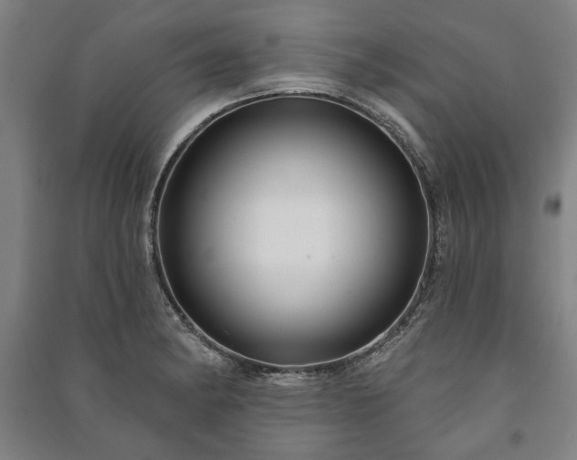 X0000091211182200708161536