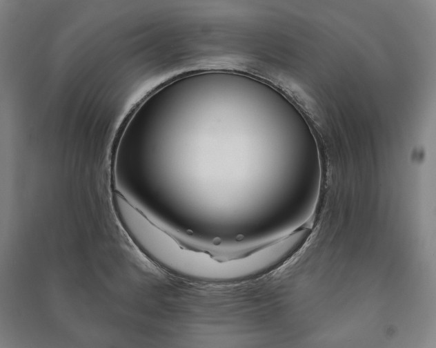 X0000091211184200708161536