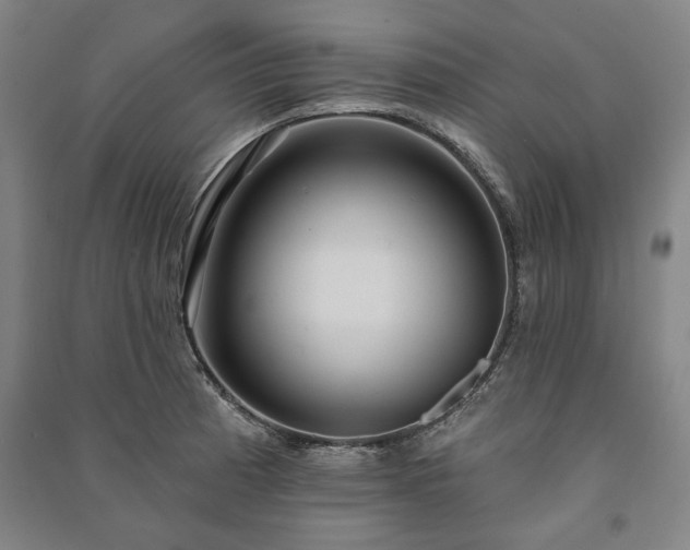 X0000091211185200708161536