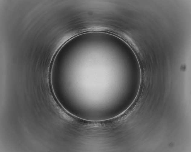X0000091211186200708161536