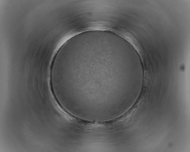 X0000091211187200708161536