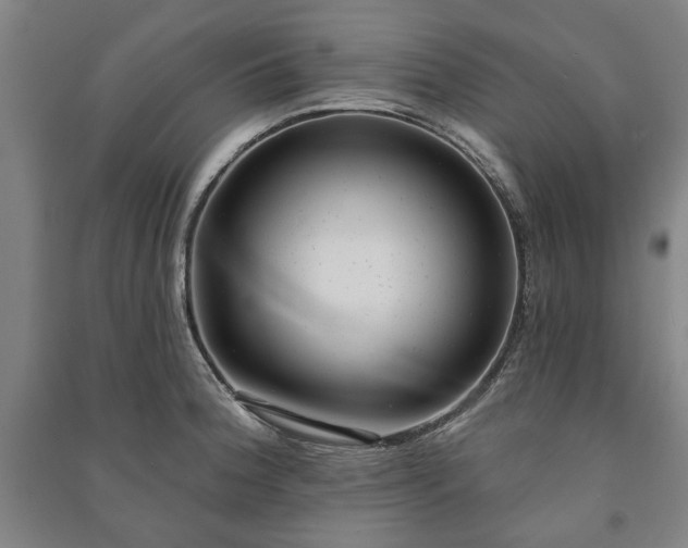 X0000091211188200708161536