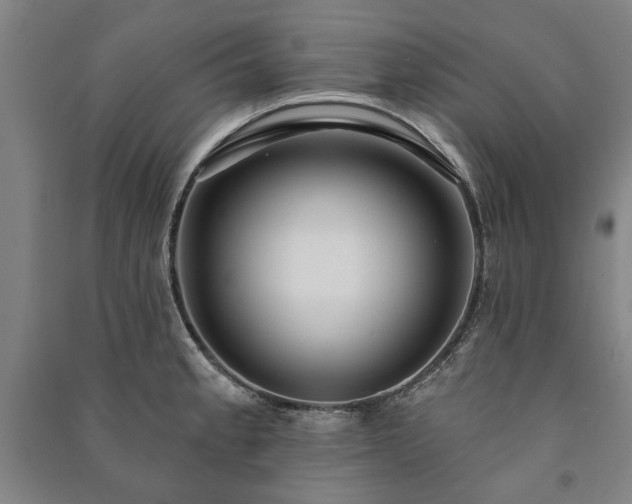 X0000091211189200708161536