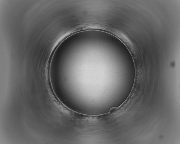 X0000091211190200708161536