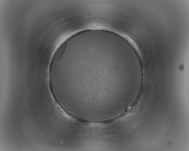 X0000091211191200708161536