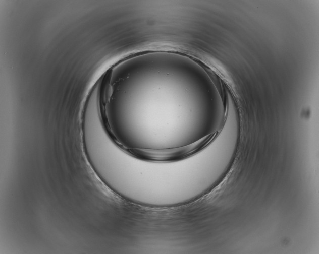 X0000091211192200708161536
