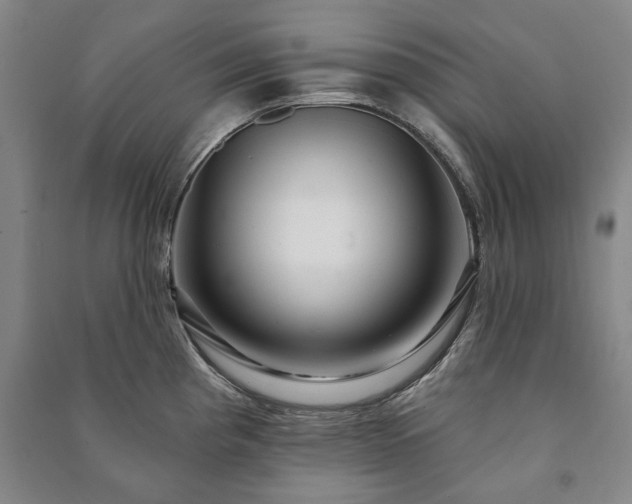 X0000091211193200708161536