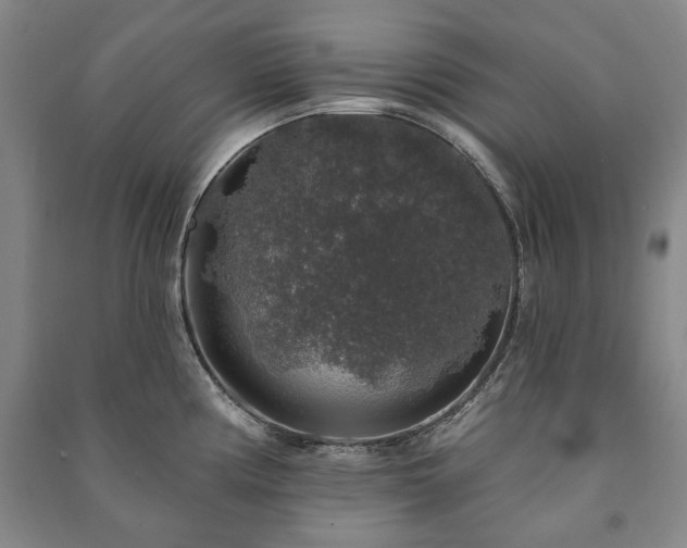 X0000091211194200708161536