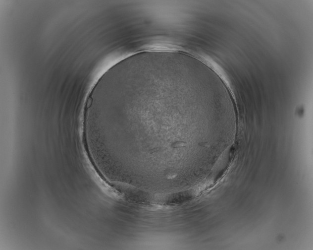 X0000091211195200708161536