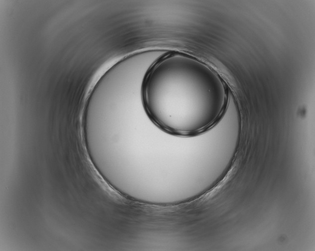 X0000091211196200708161536